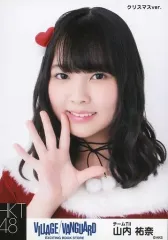 AKB48 ヴィレッジヴァンガード 店舗 限定 クリスマス 缶バッジ AKB48 ヴィレッジヴァンガード 店舗 限定 クリスマス 缶バッジ