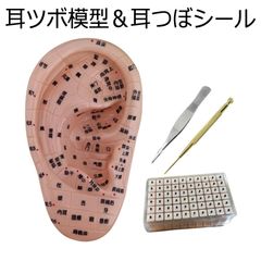 Item thumbnail for item d1a1685d-b1ec-4bd6-a572-9caebdaebbd3