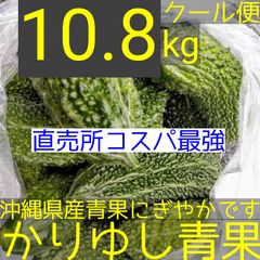 〈直売所コスパ最強〉沖縄県産ミニゴーヤＢ品約10.8kg【クール便】①