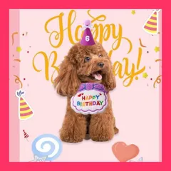【スタッフおすすめ！】犬 誕生日グッズ 犬 誕生日 スタイ 犬 バースデー 犬 誕生日帽子 猫 誕生日 犬 誕生日プレゼント 誕生日帽子 3点セット 数字付き 犬 誕生日 よだれかけ プレゼント ペット HAPPY BIRTHDAY クリス