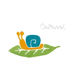 やま様ご注文セット商品