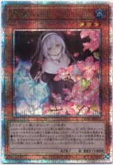 儚無みずき (絵違い) プリシク プリレア プリズマ 第11期 アーコレ