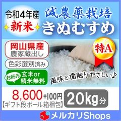 ☆★段ボール箱梱包★令和4年産 減農薬【きぬむすめ】20キロ
