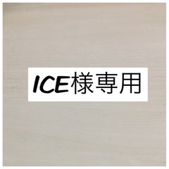 ICE様専用☆