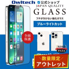 【アウトレット/お買い得品】iPhone 13/13 Pro用 全面保護 強化ガラス 光沢・ブルーライトカット 貼り付けキット付き　オウルテック公式