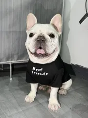 2024年最新】犬 服 中型犬 tシャツの人気アイテム - メルカリ