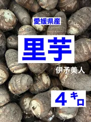さといも 伊予美人 10kg 秀品 L 2L 里芋 10キロ 贈答用 愛媛