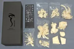 2026年最新】韮沢靖 ファントム・コアの人気アイテム - メルカリ