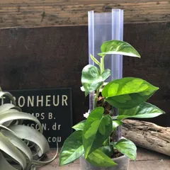 2025年最新】登り棒の人気アイテム - メルカリ