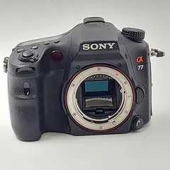 2025年最新】slt-a77vの人気アイテム - メルカリ
