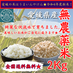 無農薬栽培☆　令和4年度　新米【玄米・白米選べます】愛媛県産　お米　天高く　2kg　農薬不使用