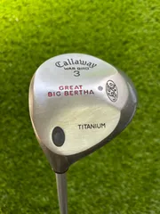 2024年最新】callaway big bertha birdの人気アイテム - メルカリ