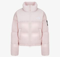 韓国限定！完売人気カラーピンク！サイズL THE NORTH FACE ノース