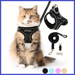 Item thumbnail for item ef12d856-557c-4770-954d-ea96b11cc683