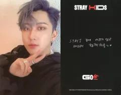 【中古】コレクションカード(男性) Stray Kids/Changbin(チャンビン)/BLACK #1/CD「GO生 (GO LIVE)」封入特典フォトカード