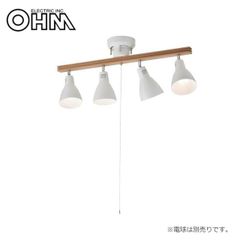 美品】ACME Furniture LEO PENDANT LAMP - メルカリ