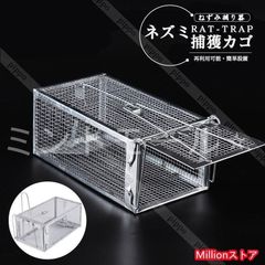 Item thumbnail for item 4cd20e7a-d5eb-48bc-a740-629cb5ff1fc5