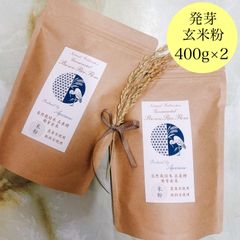 自然栽培米 発芽玄米粉 在来種（農薬不使用・肥料不使用）【400g×2】