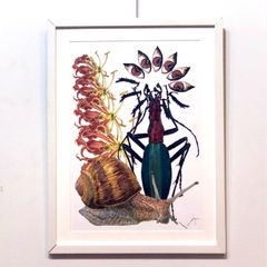 原画】77.『カブと、蕪と兜 被っとるカブト』 - メルカリ