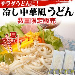 期間限定 さぬき家 賄い飯  【冷し中華風 うどん（サラダうどん）】4人前のサムネイル