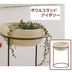 ボウルスタンド　プランター　アイボリー　鉢　ガーデニング　観葉　多肉　花