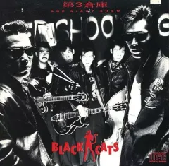 2025年最新】ブラックキャッツ cdの人気アイテム - メルカリ