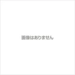 【公式】ガーデンライト LED ソーラーライト パルス式 単品 ホワイト GSL-P2W ・電球色 GSL-P2L LEDライト 2灯 屋外照明のサムネイル