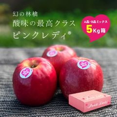 発送中「ピンクレディ5キロ箱A品B品」18〜33玉程度 酸味好き歓喜！幻の林檎 長野県産 安曇野 りんご リンゴ 林檎 Apple 産地直送 贈答 家庭用 リンゴ農家 果物 酸っぱい ピンクレディ ピンクレディー PinkLady