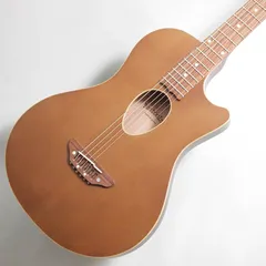 ESP Charプロデュース BambooInn-CE バンブーイン エレアコ ESP Charプロデュース BambooInn-CE バンブーイン エレアコ