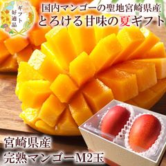 マンゴー 内祝い 出産内祝い お祝い 謝礼  お礼 お見舞い 快気祝い お供え ご霊前 手土産ギフト ゴルフコンペ景品 ご結婚お祝い 結婚内祝い 寿 [宮崎完熟マンゴーＭ2玉A] 冷蔵便 クール便