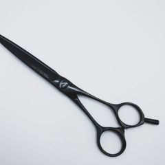 ojXz5Q89yR3zinsgUgf4GV.jpg@jpg