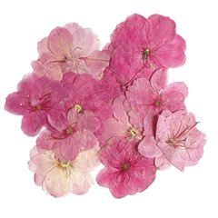 ドライフラワー 押し花 3-4Cm 24個入りドライフラワー レジン用 DIY用 押し花 ハンドメイド材料 花資材 小分け ハーバリウム アロマワックスサシェ ランダムカラー