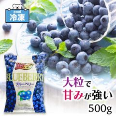 農薬・肥料不使用】山口県産 冷凍ブルーベリー 500g ハイブッシュ系