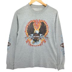 古着 00年代 ハーレーダビッドソン Harley-Davidson 鷲柄 イーグル柄 ロングTシャツ ロンT メンズS相当/eaa465937