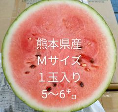 西瓜　熊本県産　Ｍサイズ