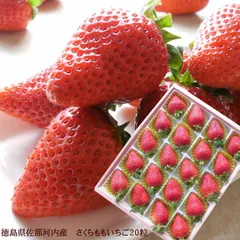12月中旬より順次発送開始 さくらももいちご 桜桃苺 サクラモモイチゴ 徳島県佐那河内さくらももいちご いちご  イチゴ 苺 プレミアム お取り寄せ 取り寄せ 取寄せ  バースデー 内祝い 出産内祝い 誕生日プレゼント お祝い お礼 [さくらももいちご20粒]