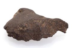 ゲベルカミル 45g スライス カット 標本 隕石 鉄隕石 ung GebelKamil 20