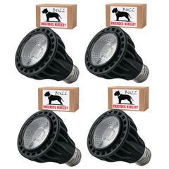 Item thumbnail for item 22d402b9-6aac-413b-bbb3-62da0cab1efa