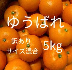 okLdoq7mT7HeSdhc6Ncy6o.jpg@jpg