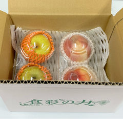 【選果落ち 訳あり商品】国産 九州産 梨 2玉 約400g＆ 桃 2玉 約300g 箱込み【003】クール冷蔵 規格外 家庭用 贈答不可 加工用  果物  熊本 福岡 なし もも モモ フルーツ 果物 産地 品種お任せ 旬のものをお届け