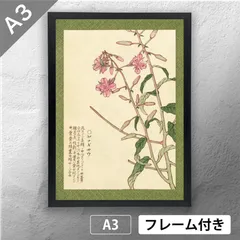 【真作】絵画　箱山精一　日本画　牡丹　新興美術院常任理事　逸品　T153 受注制作】婦人之友アートセレクション 高精彩複製画 川端龍子