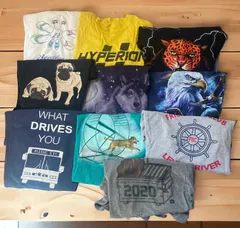 【海外古着】DOM　THE MOUNTAIN  他　まとめ売り　Tシャツ　アニマル　企業Tシャツ他　10枚セット