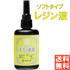 手芸工房 レジン液 ソフト 日本製 透明 1液性 UV-LED対応 (100g)