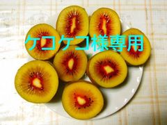 ケコケコ様専用　レッドキウイフルーツ(紅芯キウイ)　追熟前の果実4㎏＋α