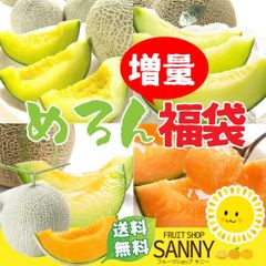 メロン 春メロン福袋 合計2.0kg（2-5玉目安）（６月末までに発送） 品種お任せ良品 青果市場の目利きが直仕入れ 市場直送だから安い！ ※北海道・沖縄離島 発送不可