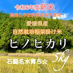 令和6年度新米　愛媛県産ヒノヒカリ5kg 自然栽培稲架掛け　農薬化学肥料不使用