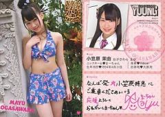 Item thumbnail for item 3e45cc92-9873-481b-885d-668ca2ede2f2