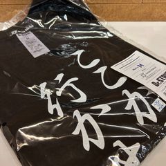 新品　TVアニメ「Dr.STONE」 ここから先は行かせないよ　半袖Tシャツ　メンズ M    西園寺羽京