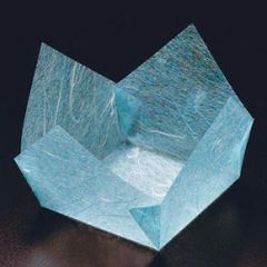 Item thumbnail for item 9ad1cb13-3c7e-41a7-bfbb-c4ab76329b2c