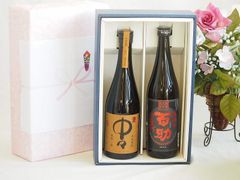 仮面ライダー50周年記念 日本酒720ml2本セット 変身ベルト型お猪口